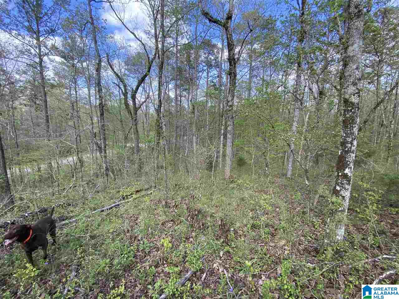 1721 Westover Road, Unit 1 Sterrett, AL 35147 - Photo 5 of 9