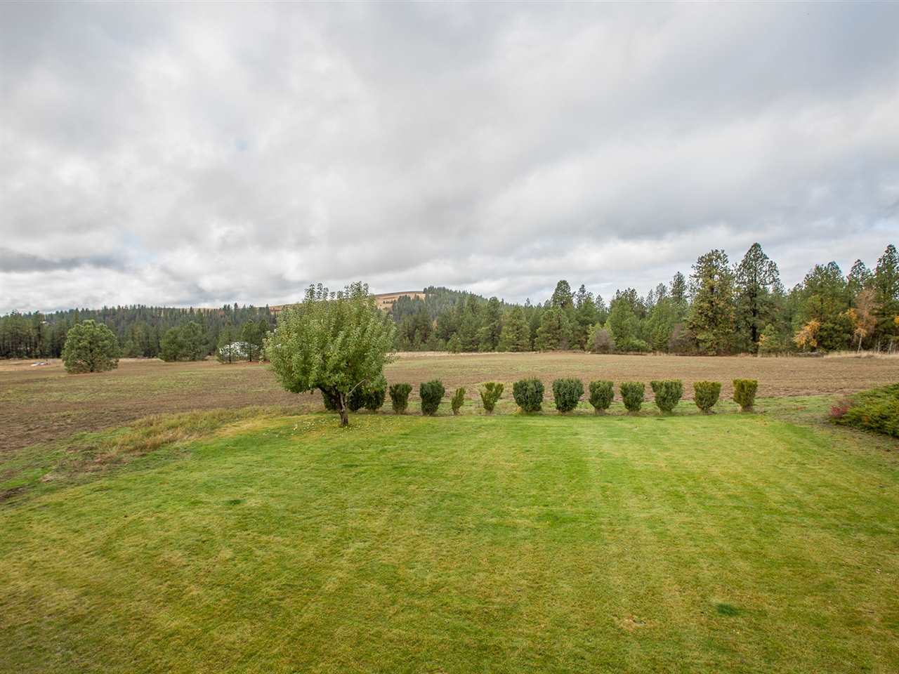 10922 South Garfield Road Cheney, WA 99004 - Photo 19 of 20 Gallery Image 19