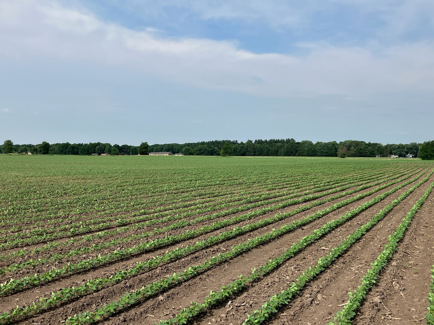 0 Center Road Rochelle, IL 61068 - Photo 22 of 32
