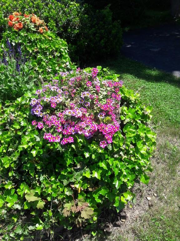 66 Leland Road Marshfield, MA 02050 - Photo 32 of 33 Gallery Image 32