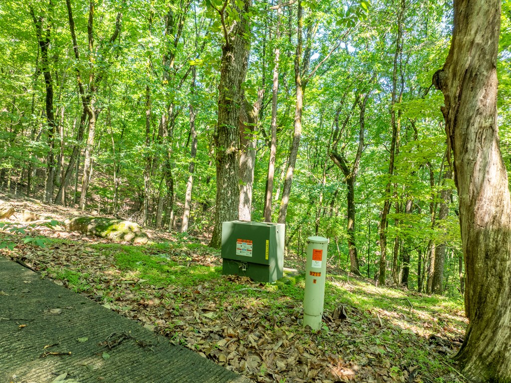 3.65-ac 3.65-ac Emory Stephens Road Murrayville, GA 30564 - Photo 11 of 22