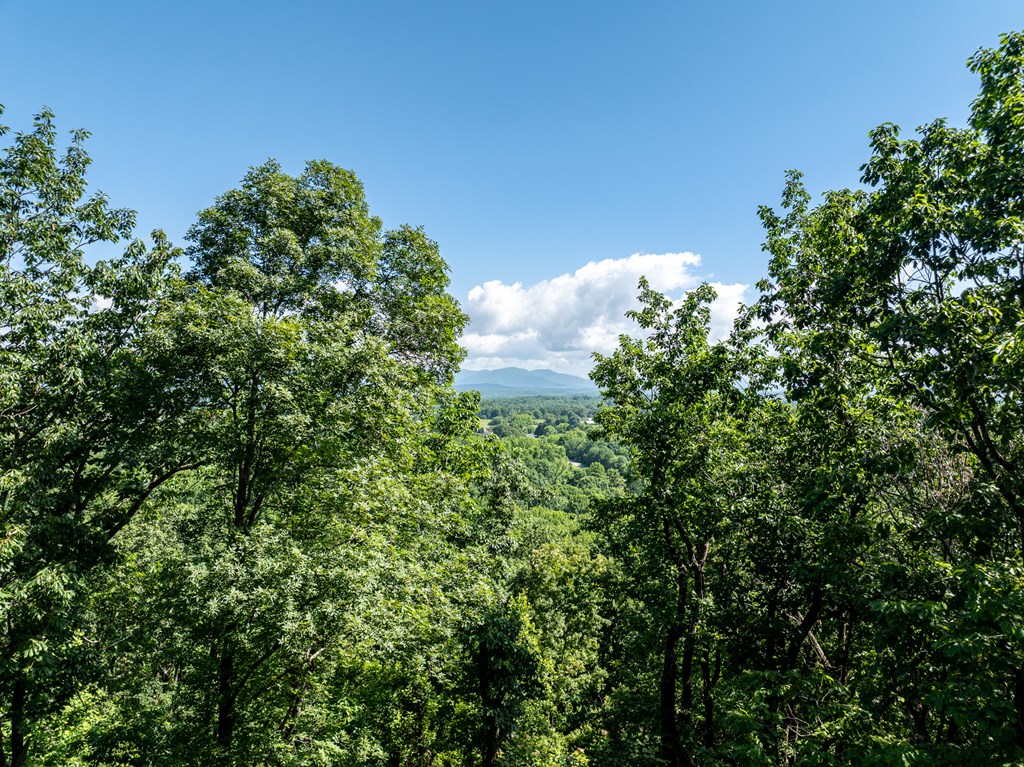 3.65-ac 3.65-ac Emory Stephens Road Murrayville, GA 30564 - Photo 12 of 22