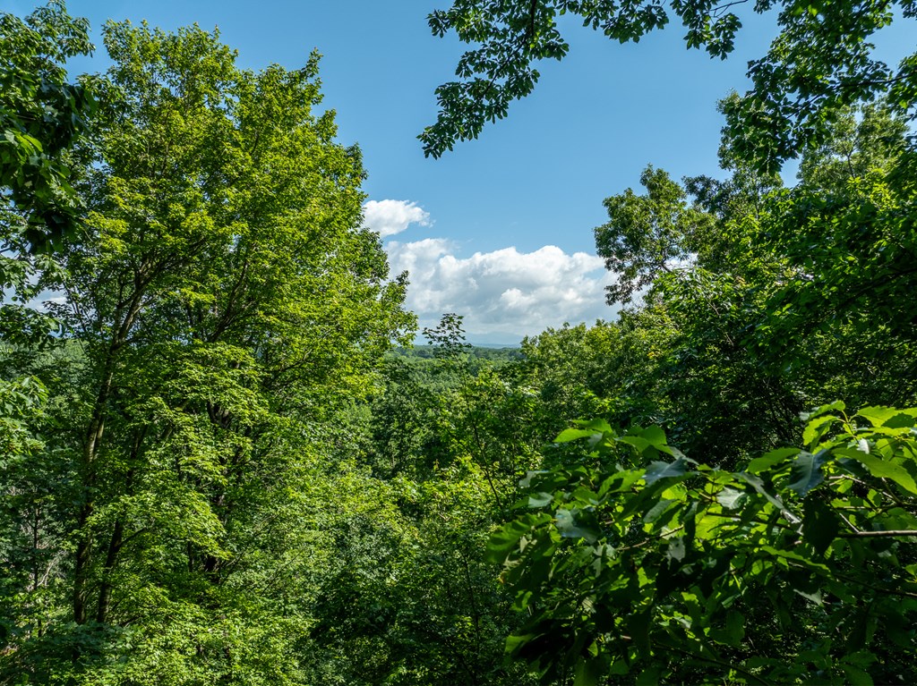 3.65-ac 3.65-ac Emory Stephens Road Murrayville, GA 30564 - Photo 13 of 22