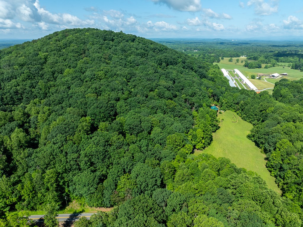 3.65-ac 3.65-ac Emory Stephens Road Murrayville, GA 30564 - Photo 14 of 22