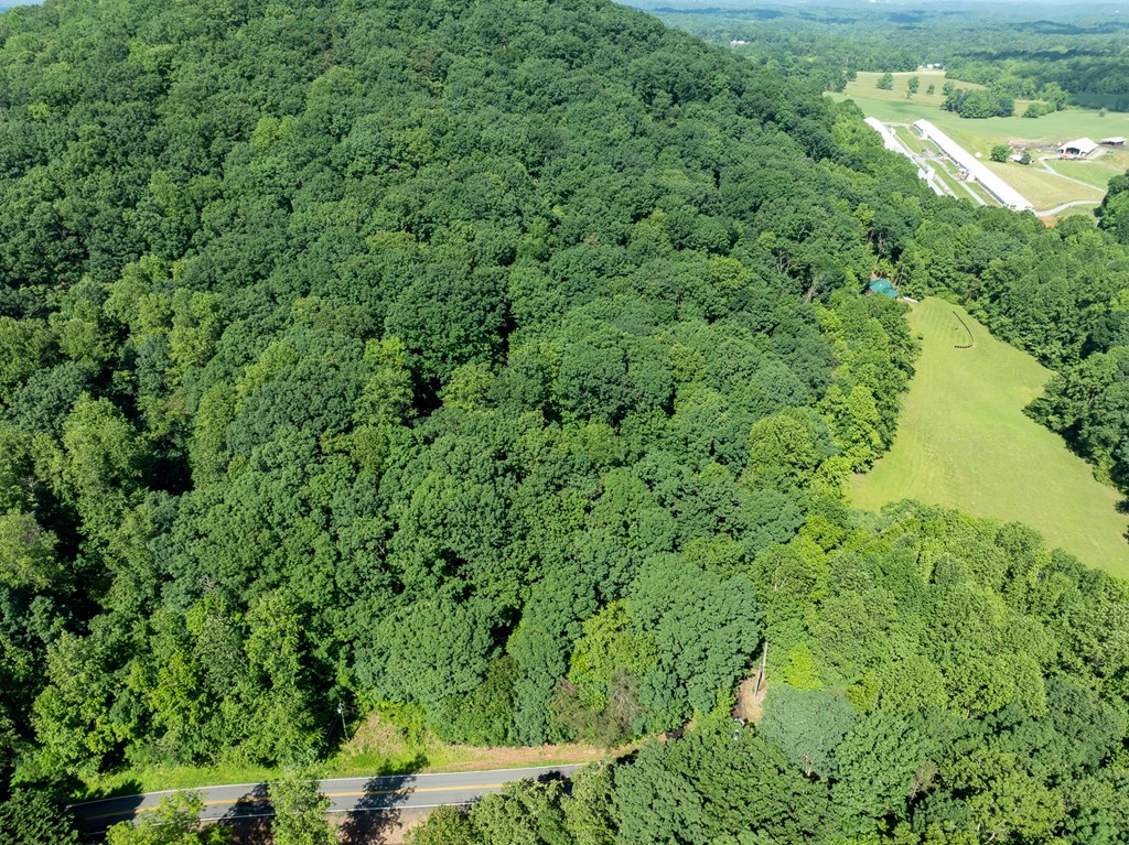 3.65-ac 3.65-ac Emory Stephens Road Murrayville, GA 30564 - Photo 15 of 22