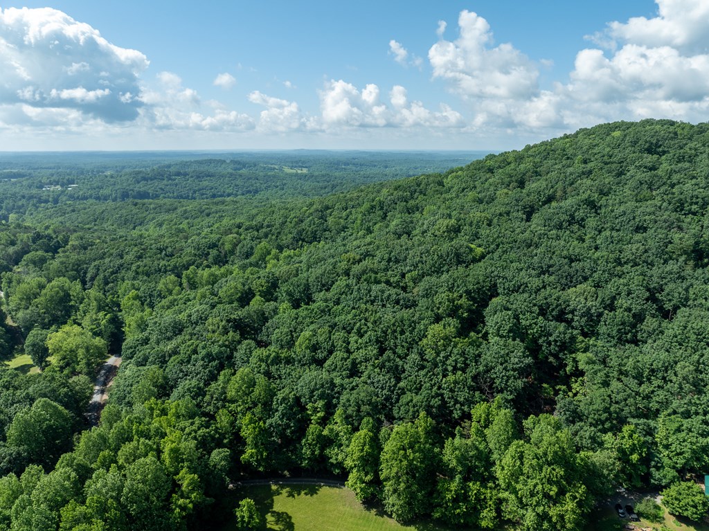 3.65-ac 3.65-ac Emory Stephens Road Murrayville, GA 30564 - Photo 19 of 22