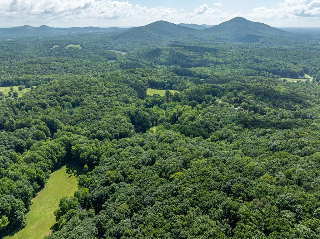 3.65-ac 3.65-ac Emory Stephens Road Murrayville, GA 30564 - Photo 21 of 22