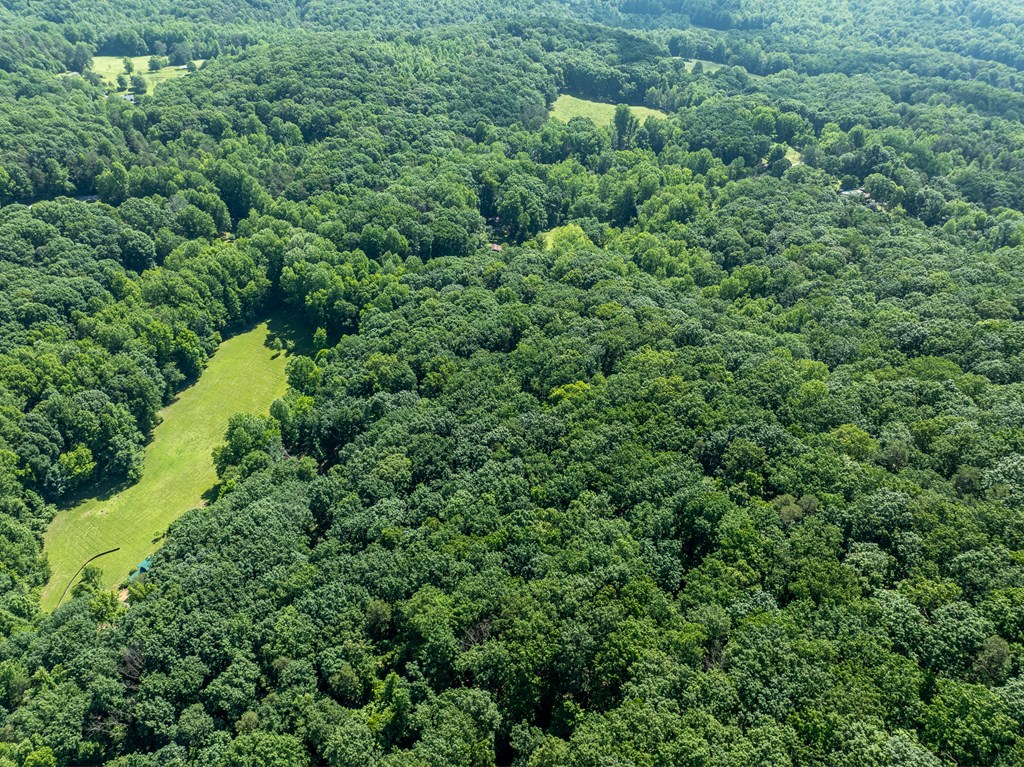 3.65-ac 3.65-ac Emory Stephens Road Murrayville, GA 30564 - Photo 22 of 22