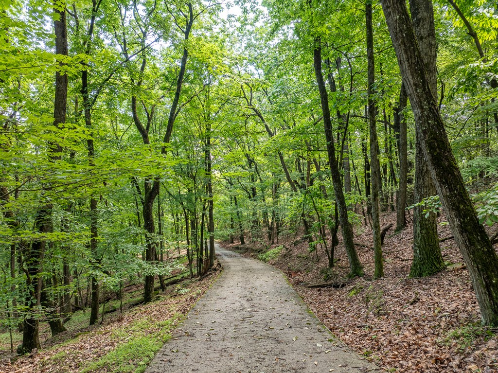 3.65-ac 3.65-ac Emory Stephens Road Murrayville, GA 30564 - Photo 3 of 22