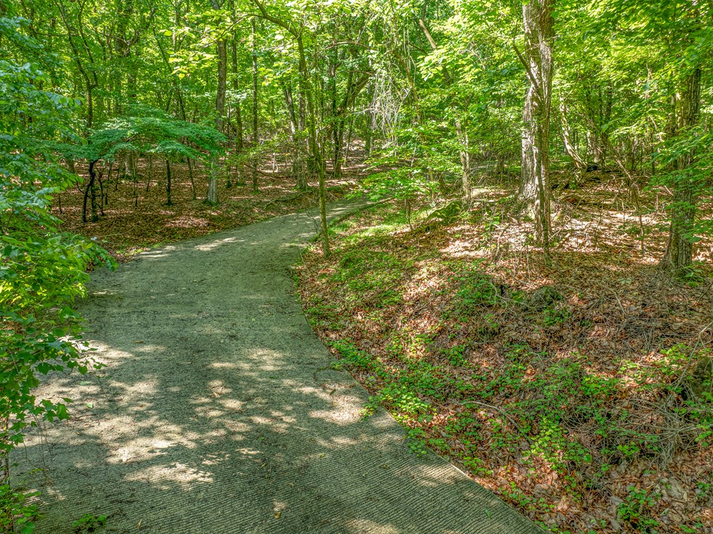 3.65-ac 3.65-ac Emory Stephens Road Murrayville, GA 30564 - Photo 4 of 22