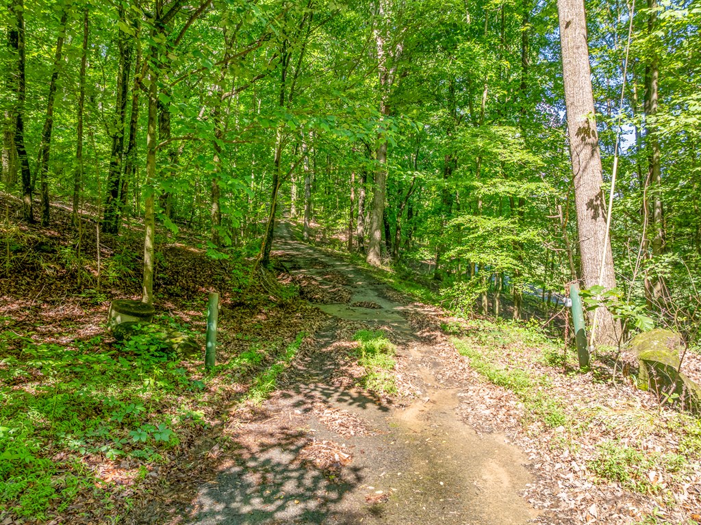 3.65-ac 3.65-ac Emory Stephens Road Murrayville, GA 30564 - Photo 5 of 22