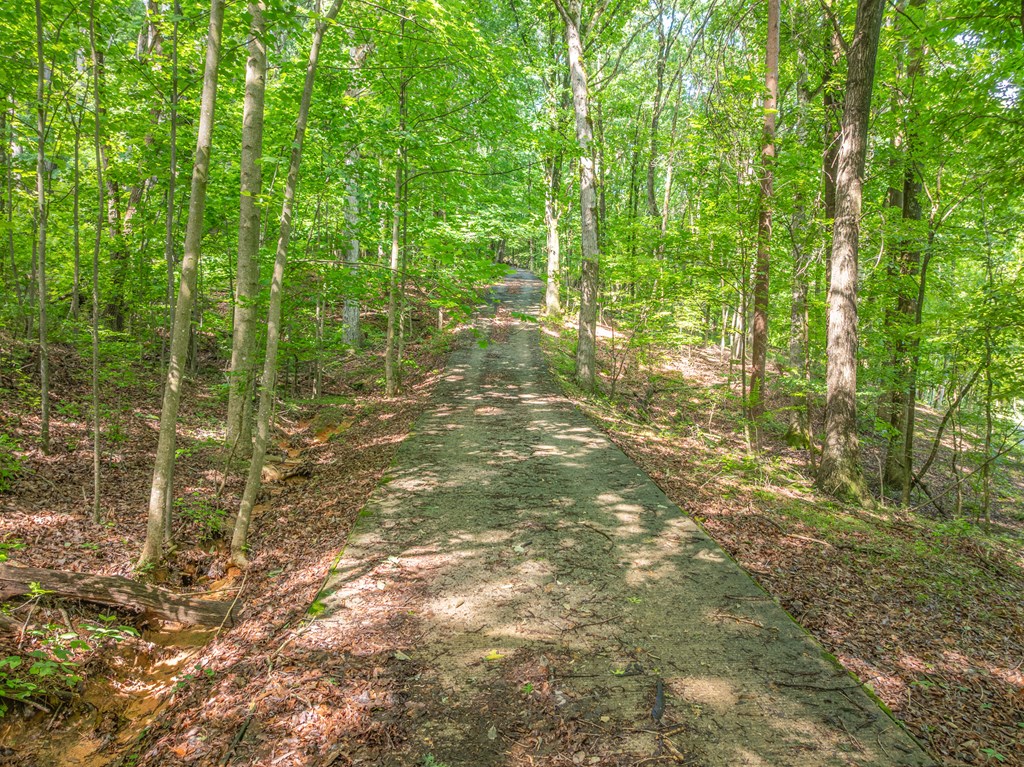 3.65-ac 3.65-ac Emory Stephens Road Murrayville, GA 30564 - Photo 6 of 22