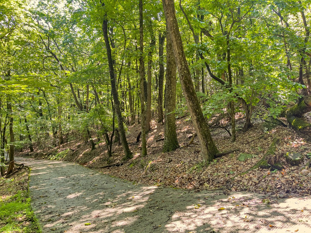 3.65-ac 3.65-ac Emory Stephens Road Murrayville, GA 30564 - Photo 9 of 22