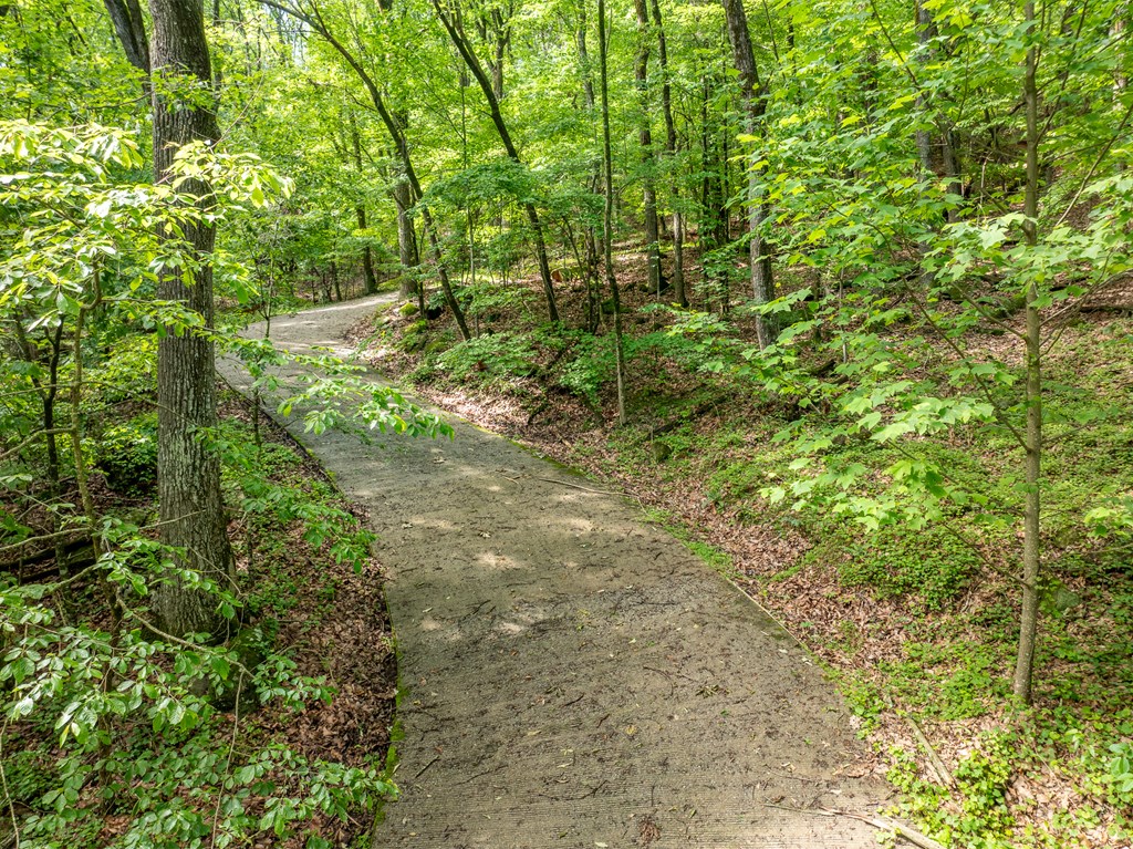 3.65-ac 3.65-ac Emory Stephens Road Murrayville, GA 30564 - Photo 10 of 22