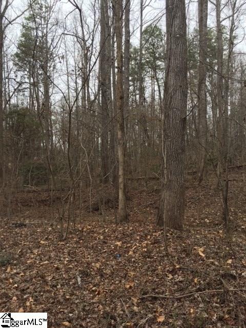 Cartee Road Liberty, SC 29657 - Photo 2 of 19 Gallery Image 2