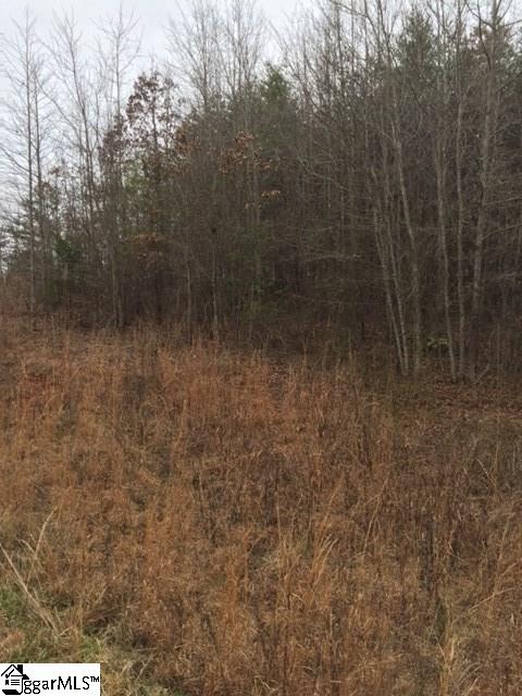 Cartee Road Liberty, SC 29657 - Photo 5 of 19 Gallery Image 5