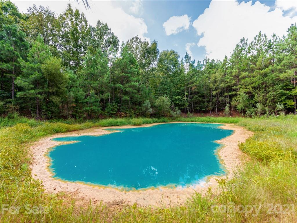 2295 Armenia Road Chester, SC 29706 - Photo 36 of 46 a view of a swimming pool and a yard