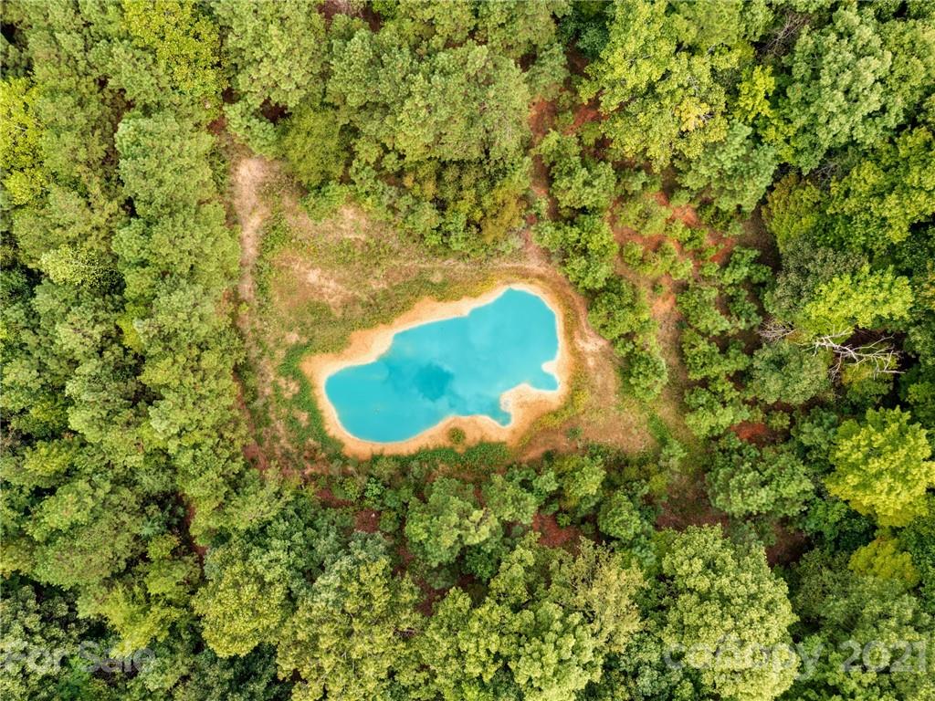 2295 Armenia Road Chester, SC 29706 - Photo 38 of 46 a view of a small yard