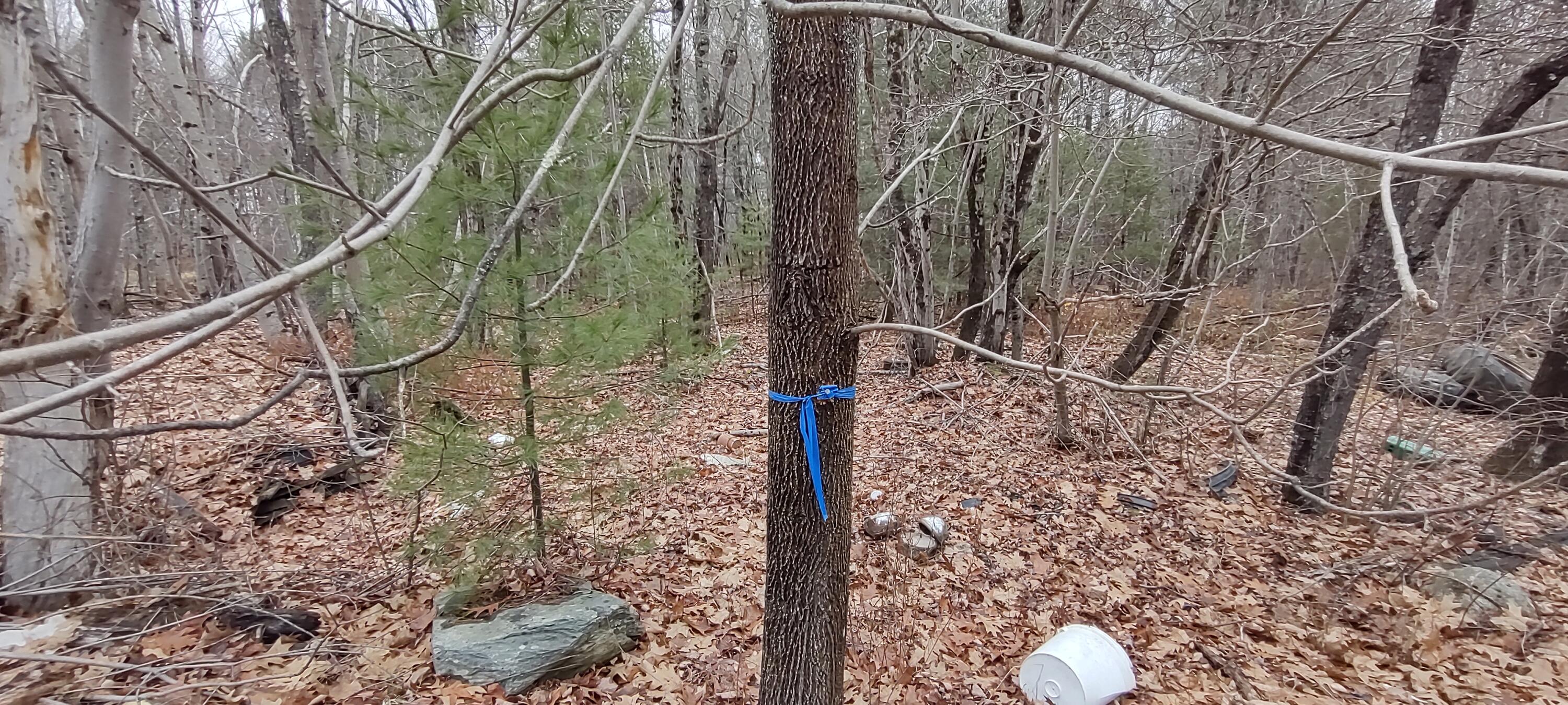 757 Coldbrook Road Hermon, ME 04401 - Photo 10 of 20 IMG_20211115_142547158