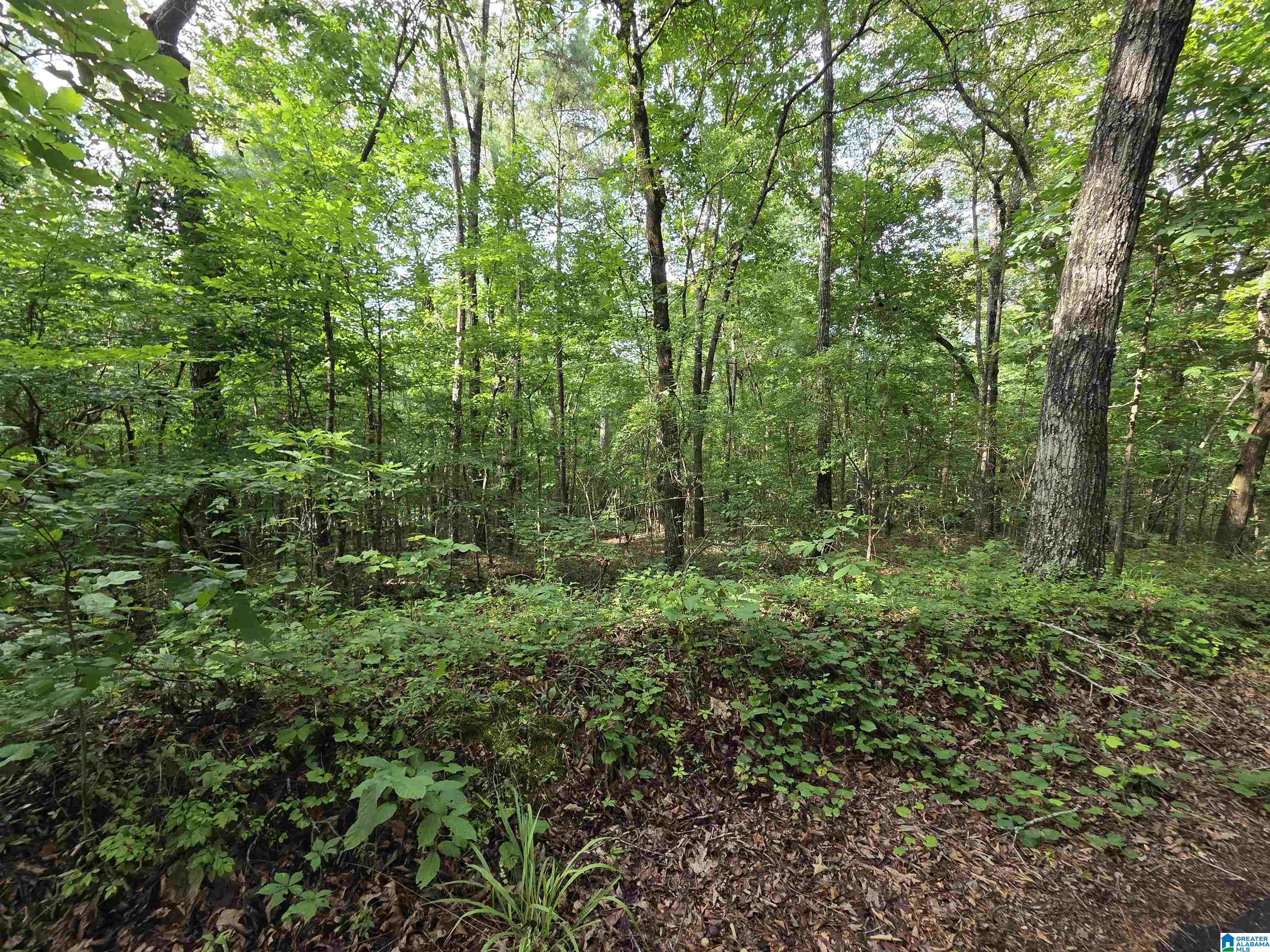 45 Coosa View Lane Riverside, AL 35135 - Photo 2 of 9