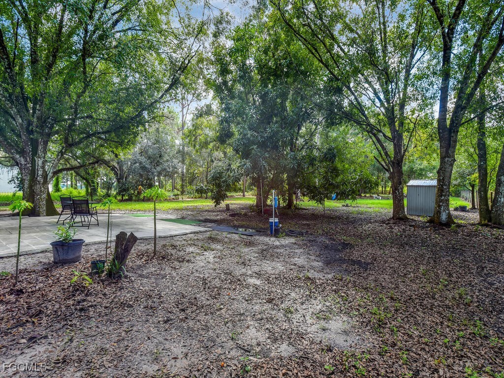 1079 Summerall Road LaBelle, FL 33935 - Photo 19 of 26 a view of park with trees