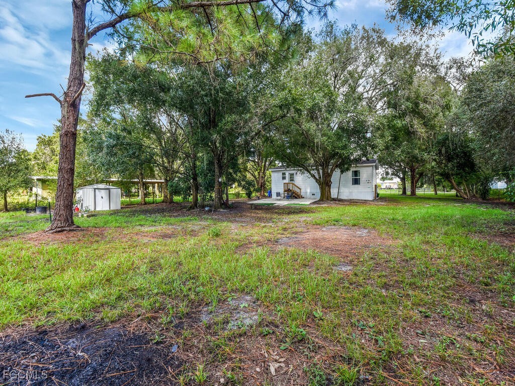 1079 Summerall Road LaBelle, FL 33935 - Photo 20 of 26 a view of green field with trees in the background