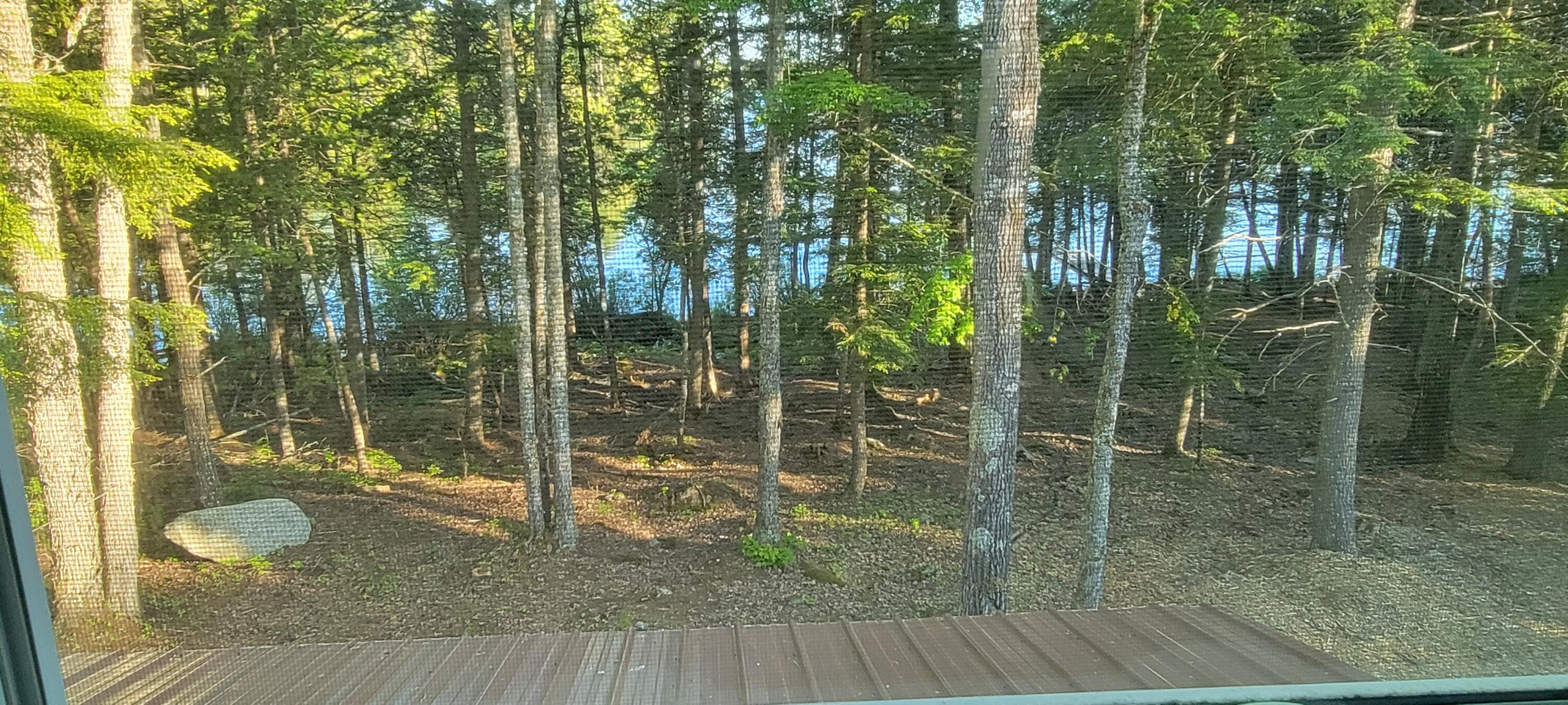 Lot 12 Little Stream Road Lincoln, ME 04457 - Photo 26 of 36 20220606_182241