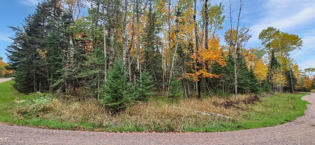 $70,000 | Lot 1-block Raspberry Trail, La Pointe, WI 54850