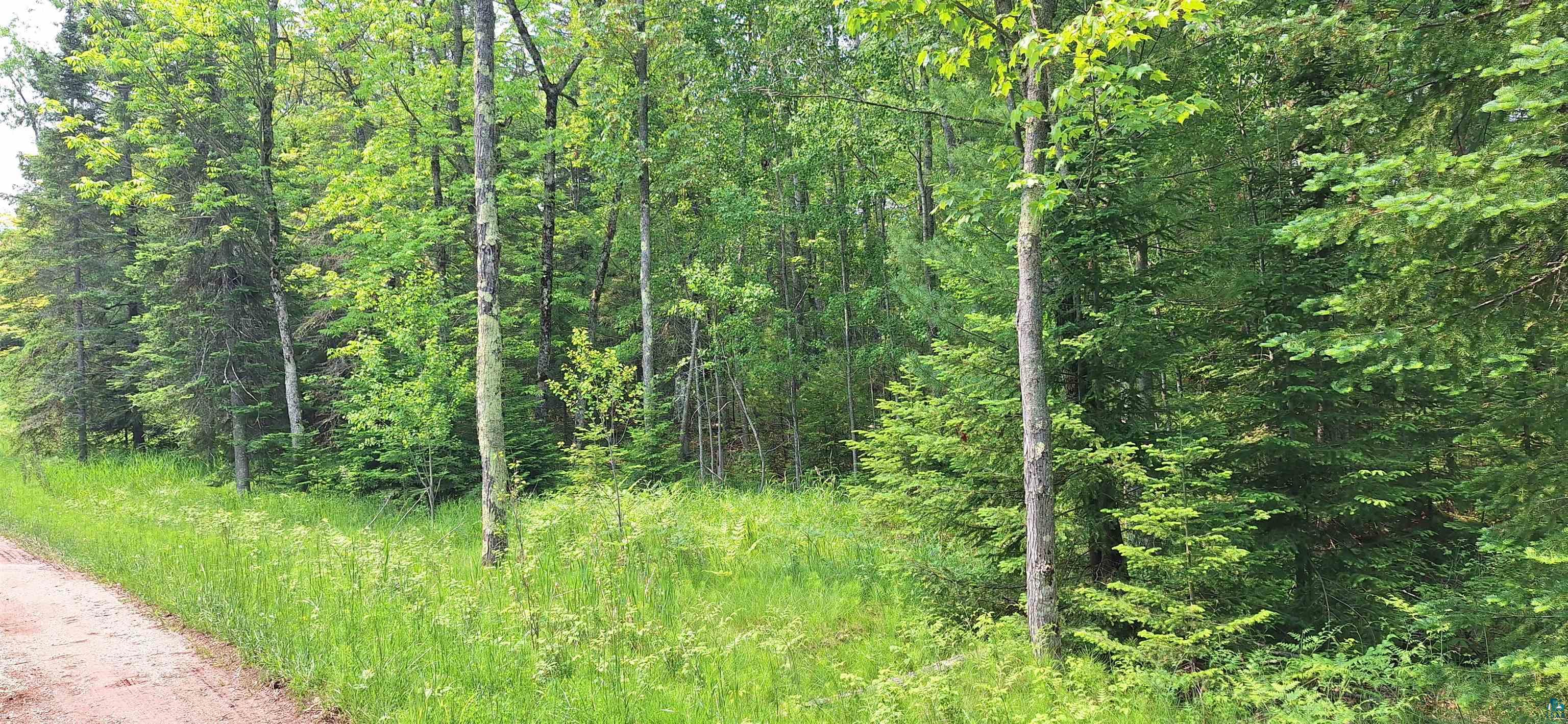Lot 1-block Raspberry Trail La Pointe, WI 54850 - Photo 2 of 7 View of tree filled area
