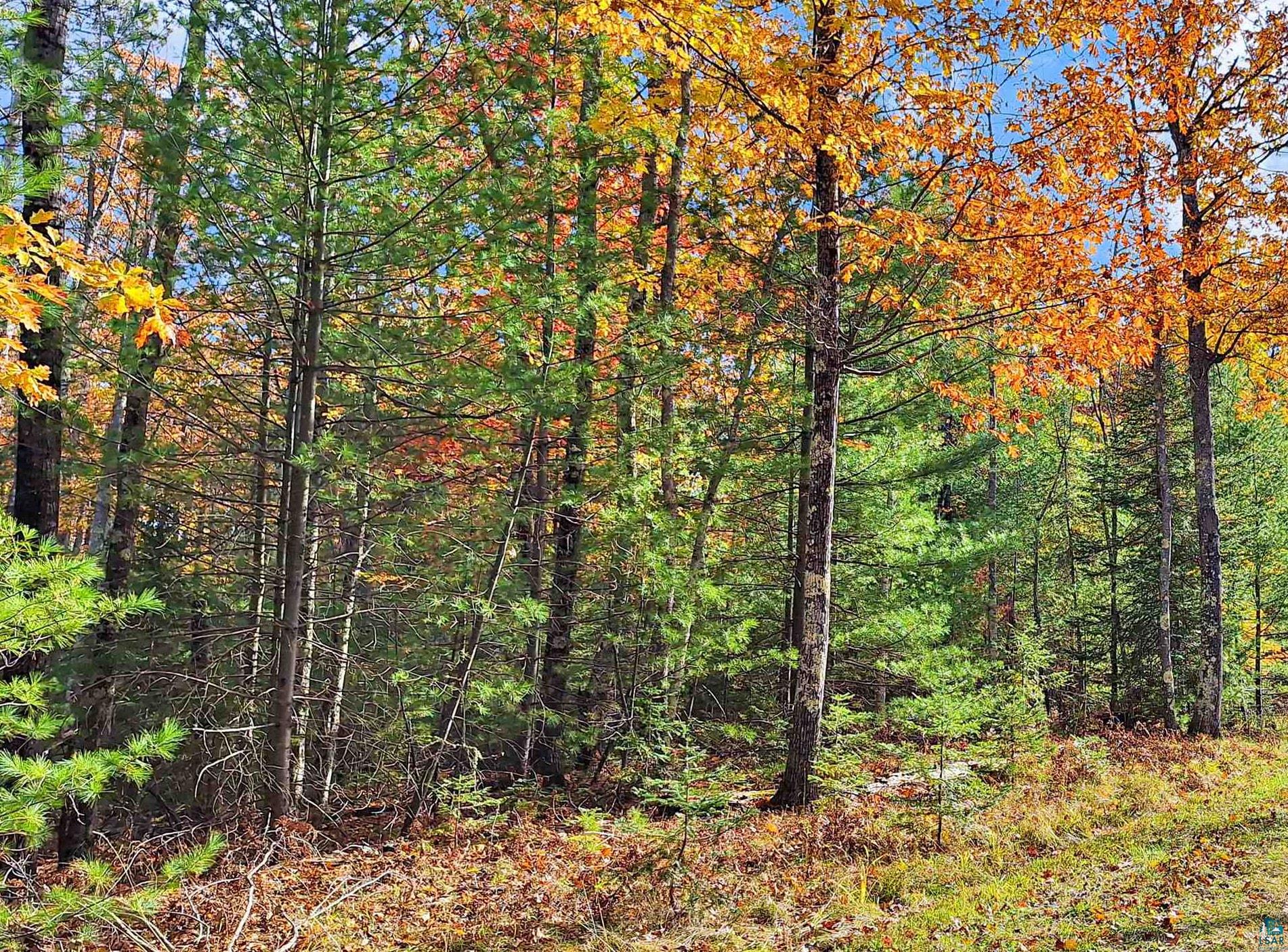 Lot 1-block Raspberry Trail La Pointe, WI 54850 - Photo 5 of 7