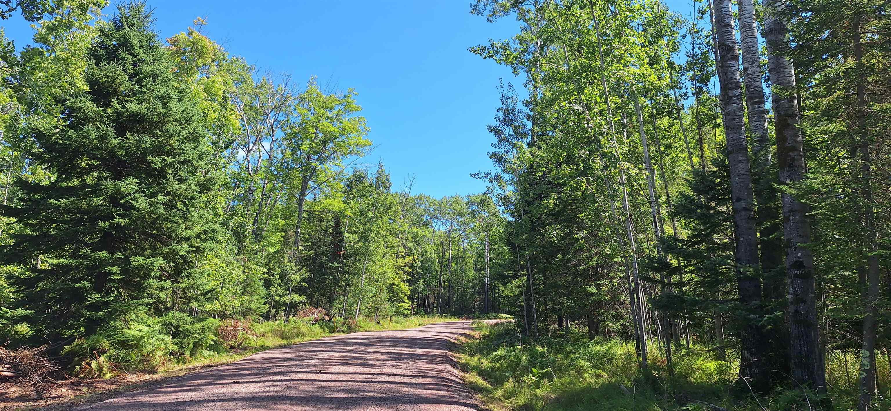 Lot 1-block Raspberry Trail La Pointe, WI 54850 - Photo 7 of 7 View of asphalt street with a wooded view