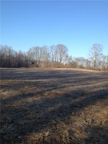 0 Triangle Road Ashland City, TN 37015 - Photo 2 of 3 Gallery Image 2
