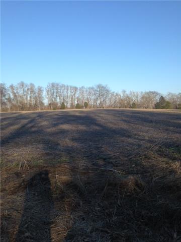 0 Triangle Road Ashland City, TN 37015 - Photo 3 of 3 Gallery Image 3