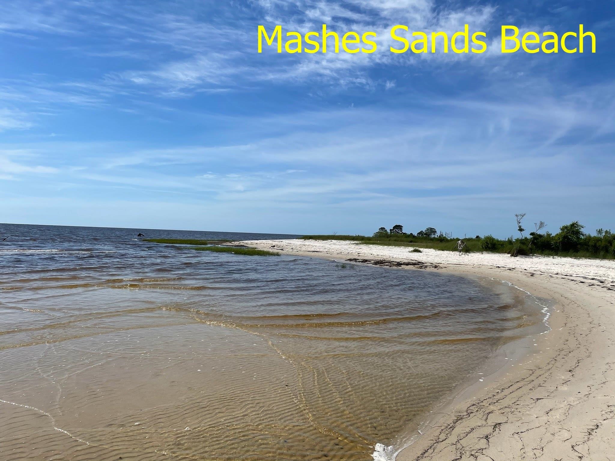 562 Mashes Sands Road Panacea, FL 32346 - Photo 32 of 33