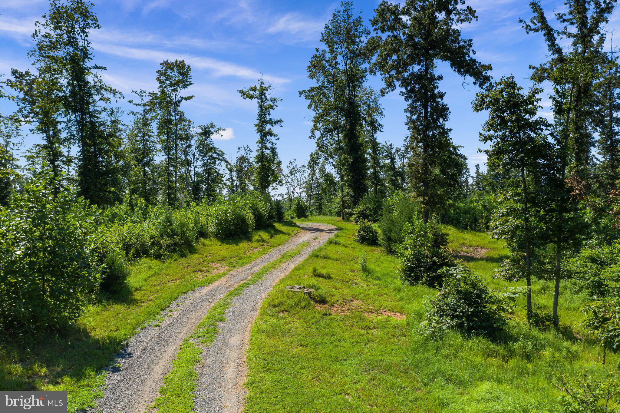 10528 Pineview Road Manassas, VA 20111 - Photo 4 of 61