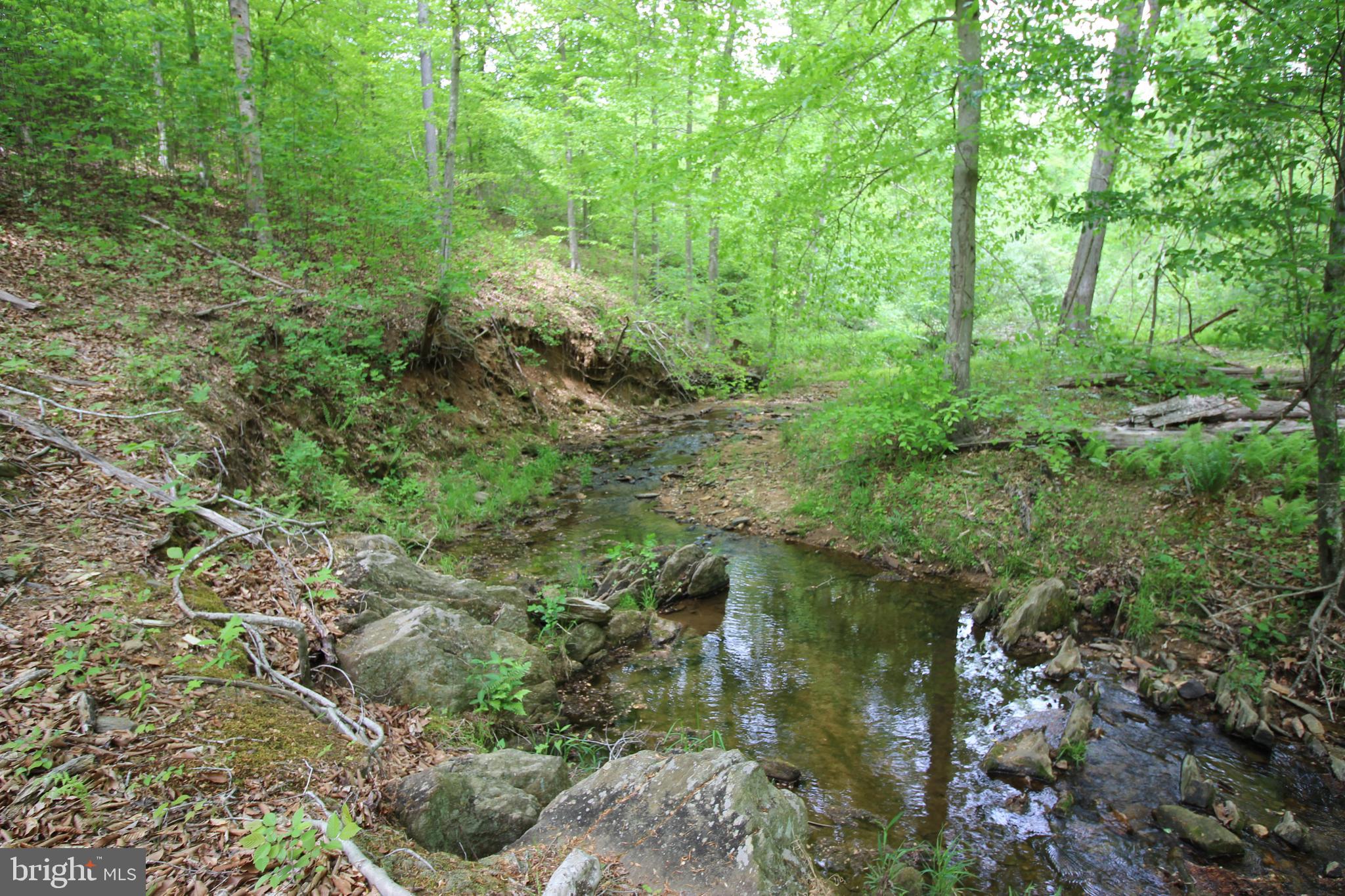 10528 Pineview Road Manassas, VA 20111 - Photo 42 of 61 Multiple shots of the stream surrounding