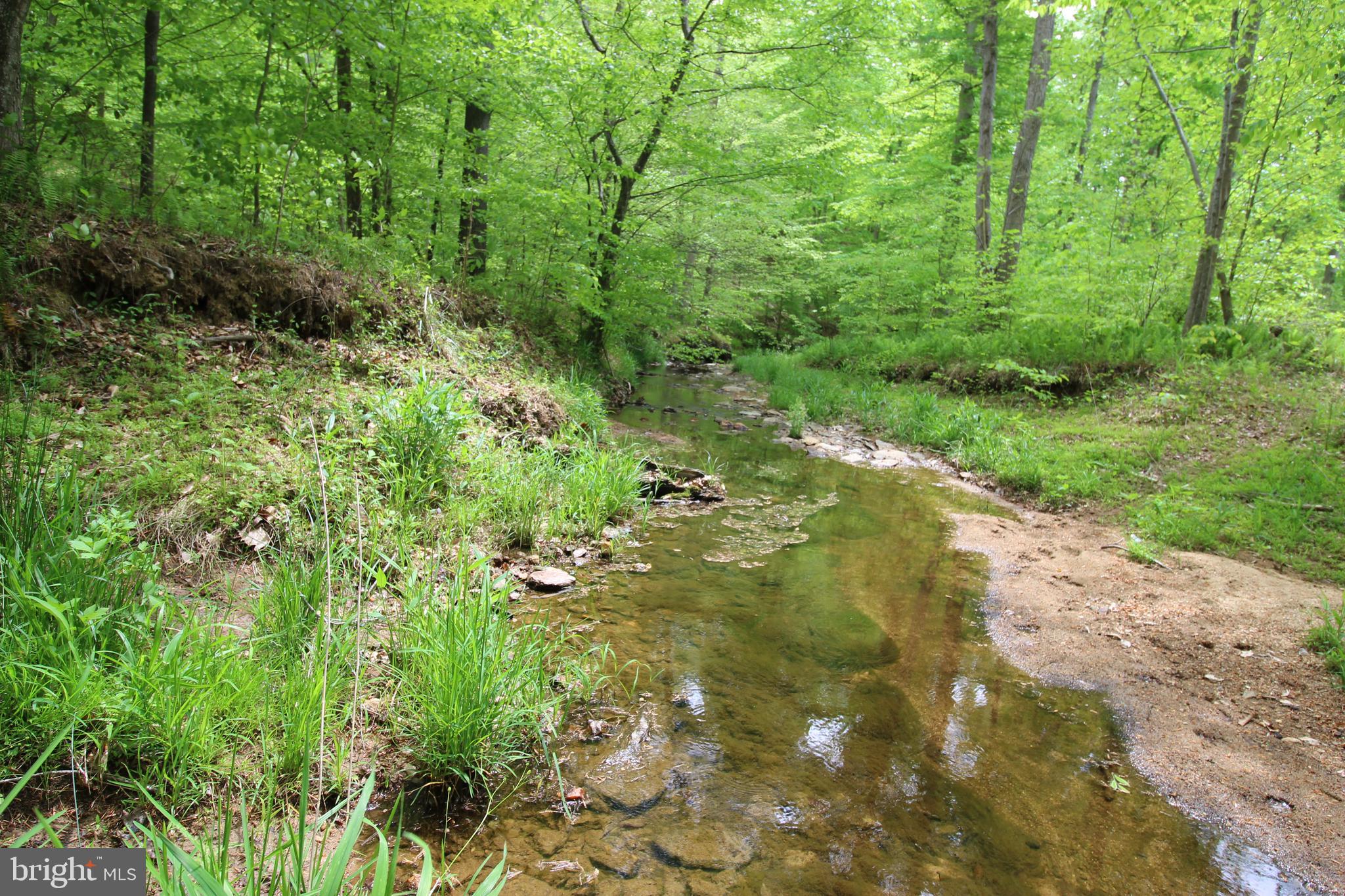 10528 Pineview Road Manassas, VA 20111 - Photo 43 of 61 This is at low water level