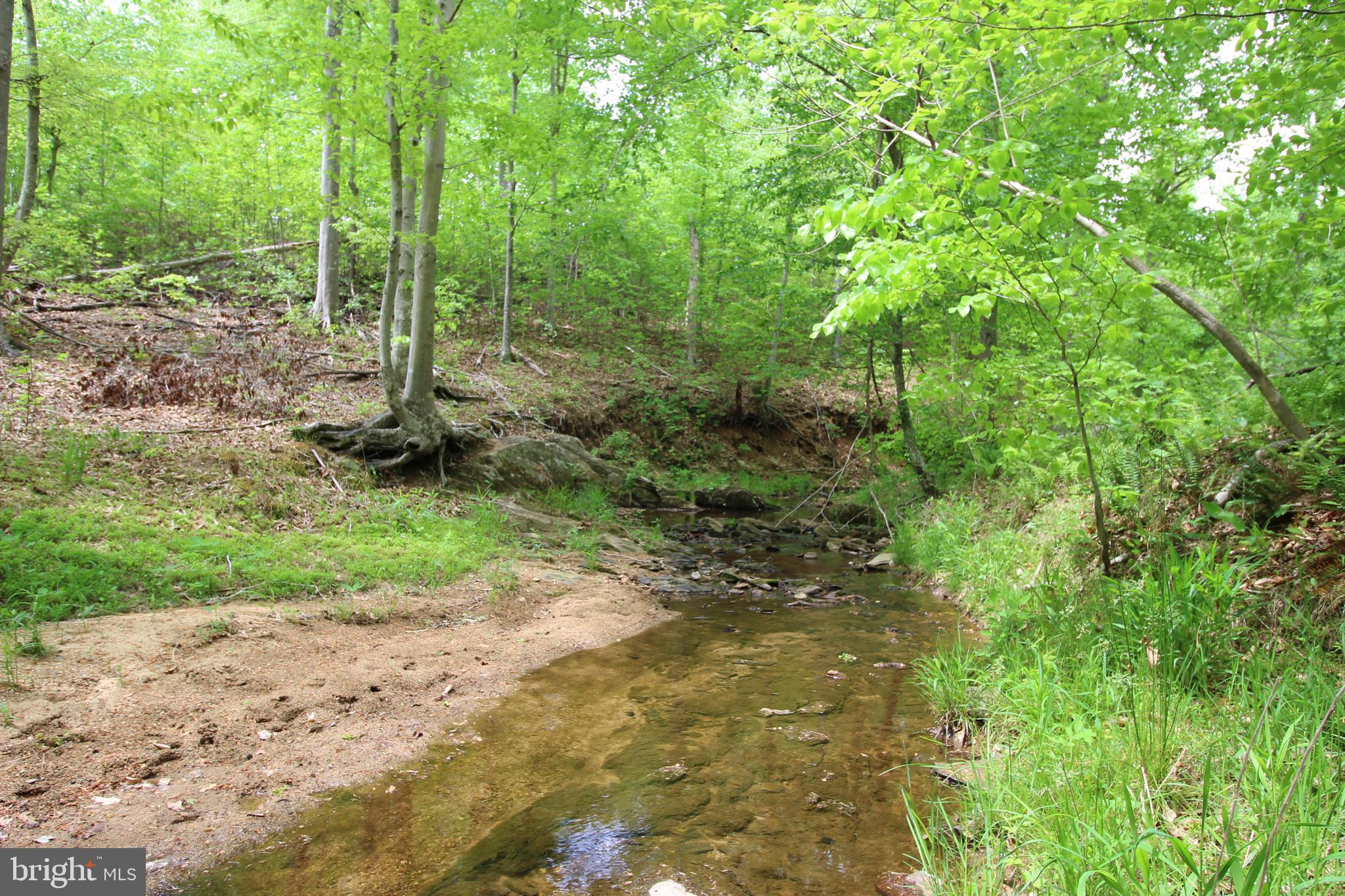 10528 Pineview Road Manassas, VA 20111 - Photo 44 of 61 Still beautiful and quiet