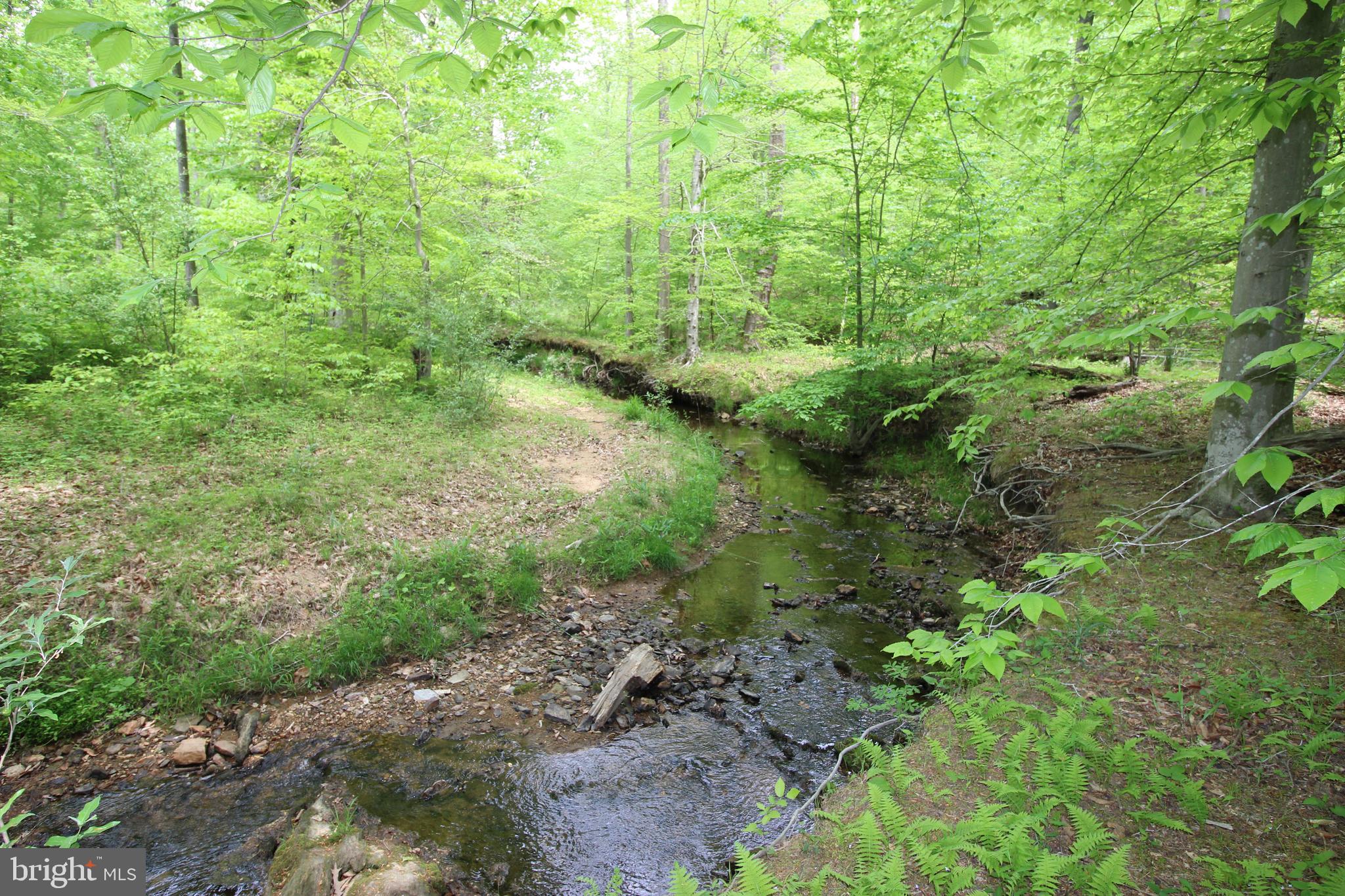 10528 Pineview Road Manassas, VA 20111 - Photo 45 of 61 Quiet, until it babbles over rocks