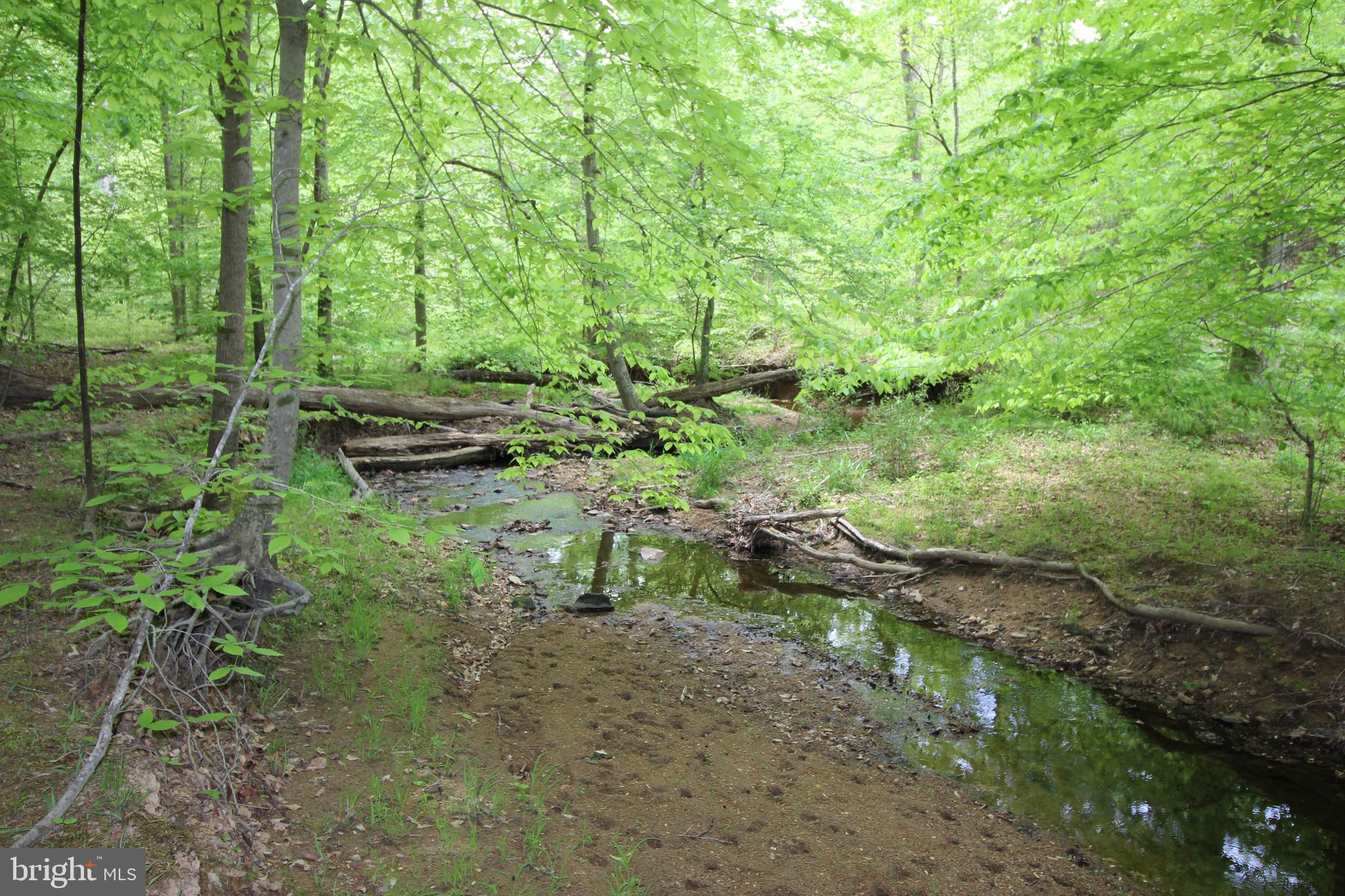 10528 Pineview Road Manassas, VA 20111 - Photo 46 of 61