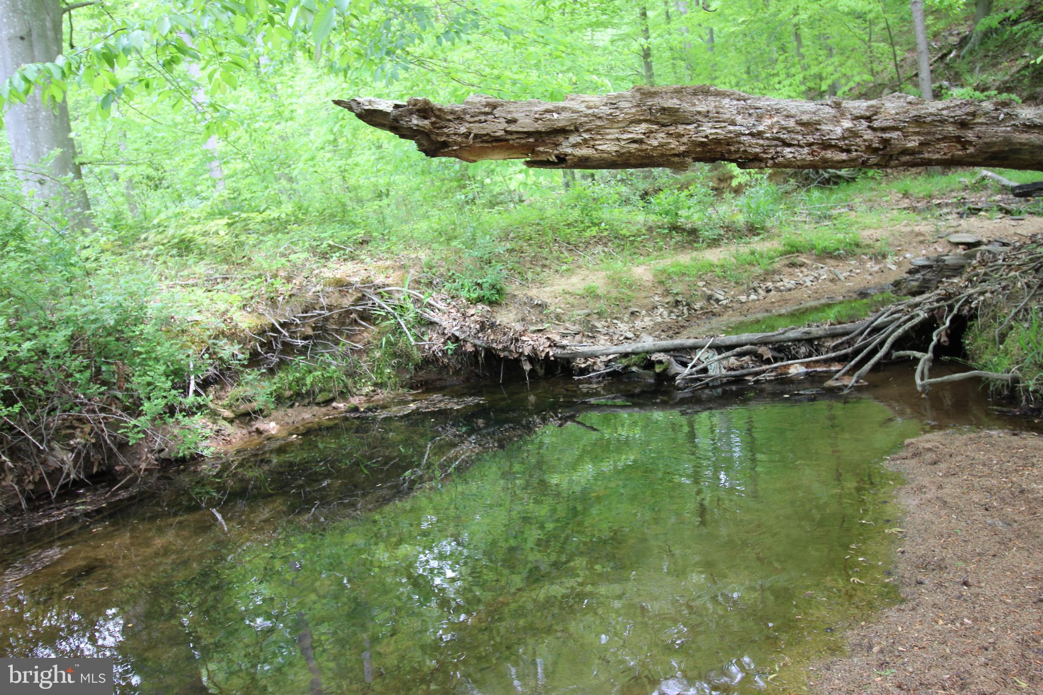 10528 Pineview Road Manassas, VA 20111 - Photo 47 of 61