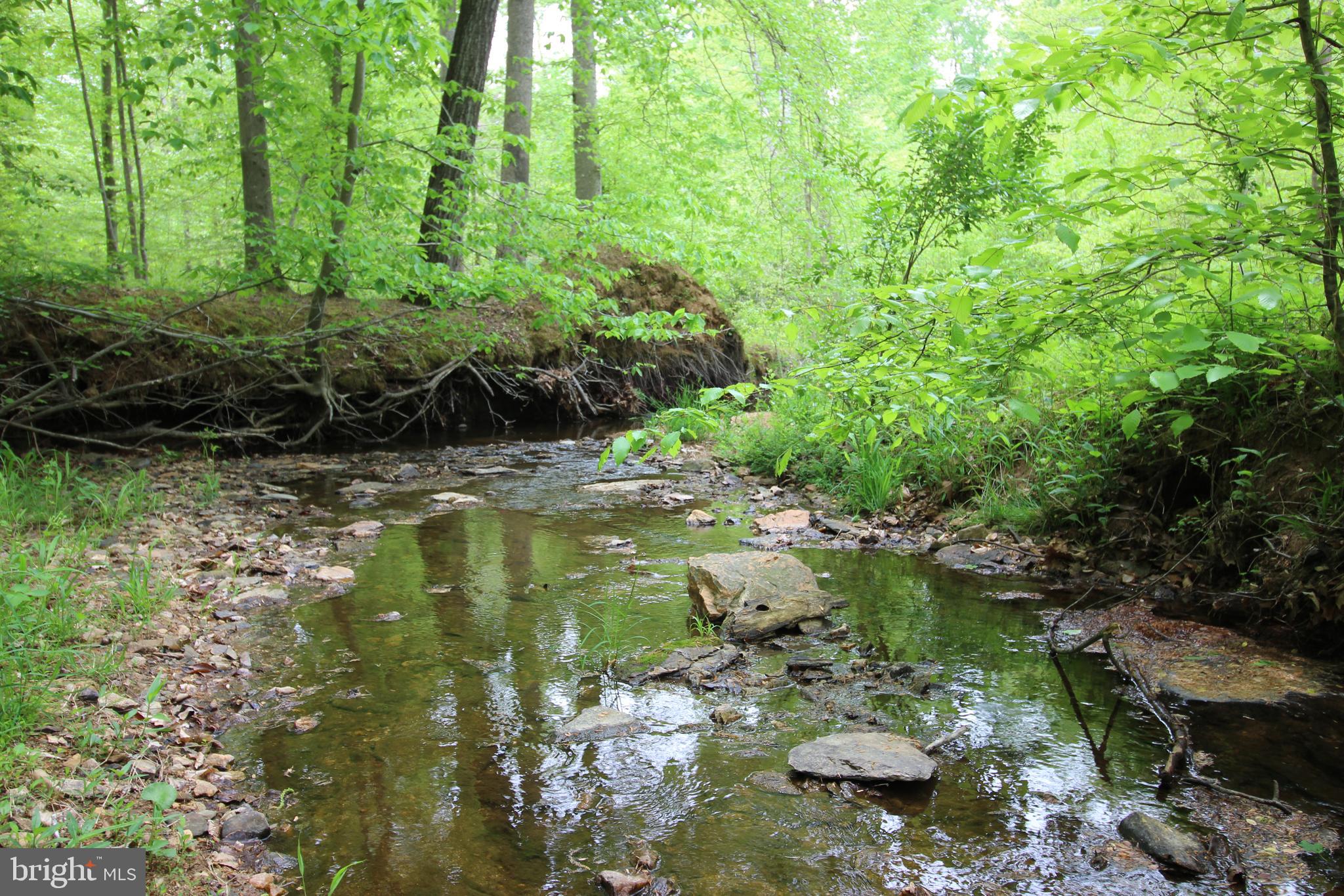 10528 Pineview Road Manassas, VA 20111 - Photo 49 of 61