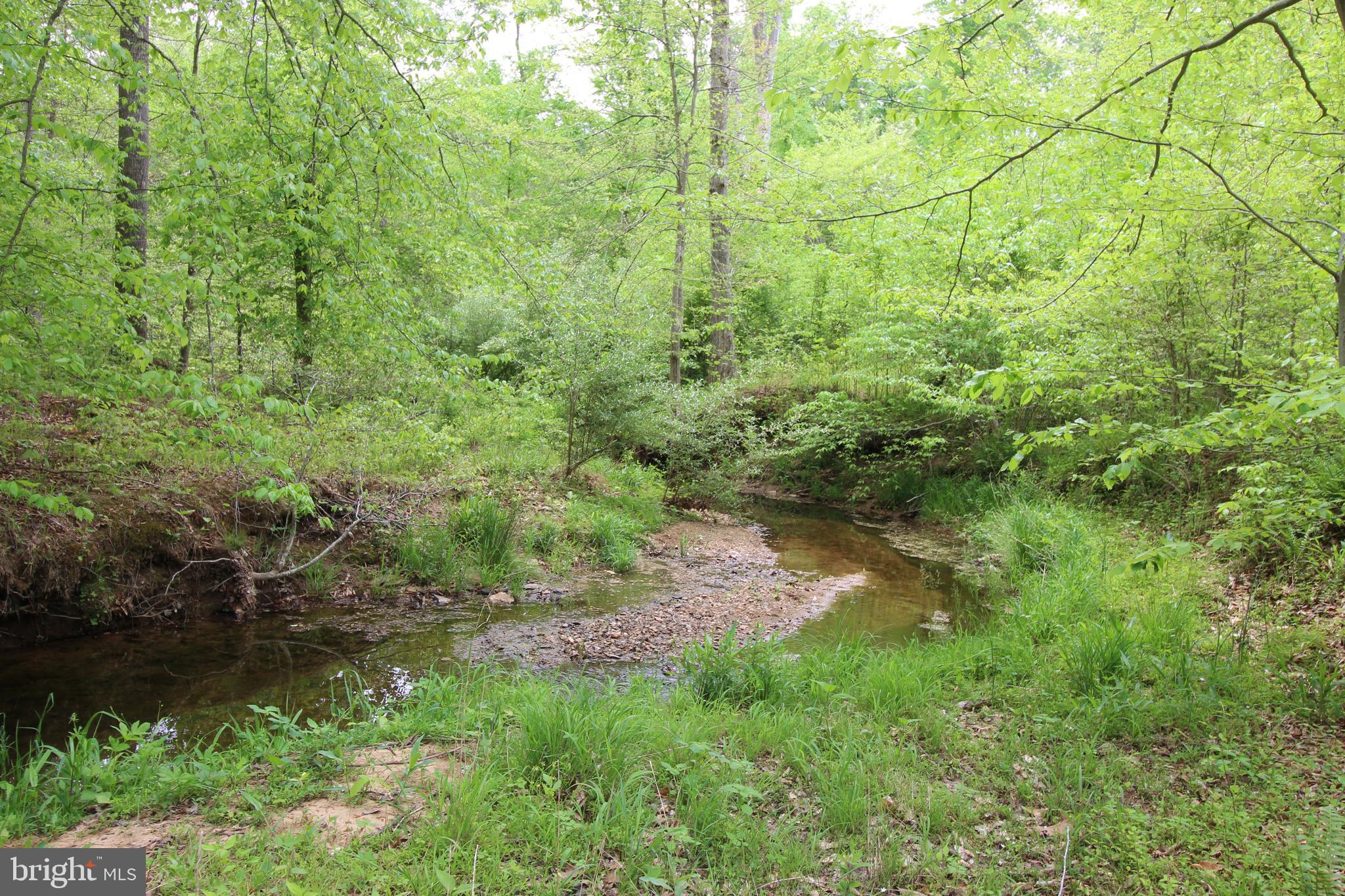 10528 Pineview Road Manassas, VA 20111 - Photo 50 of 61