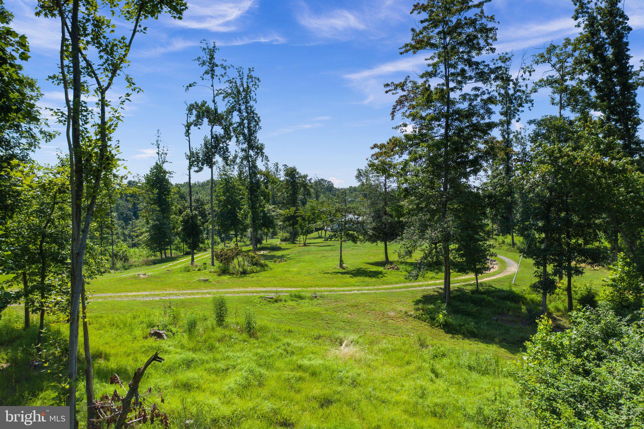 10528 Pineview Road Manassas, VA 20111 - Photo 5 of 61