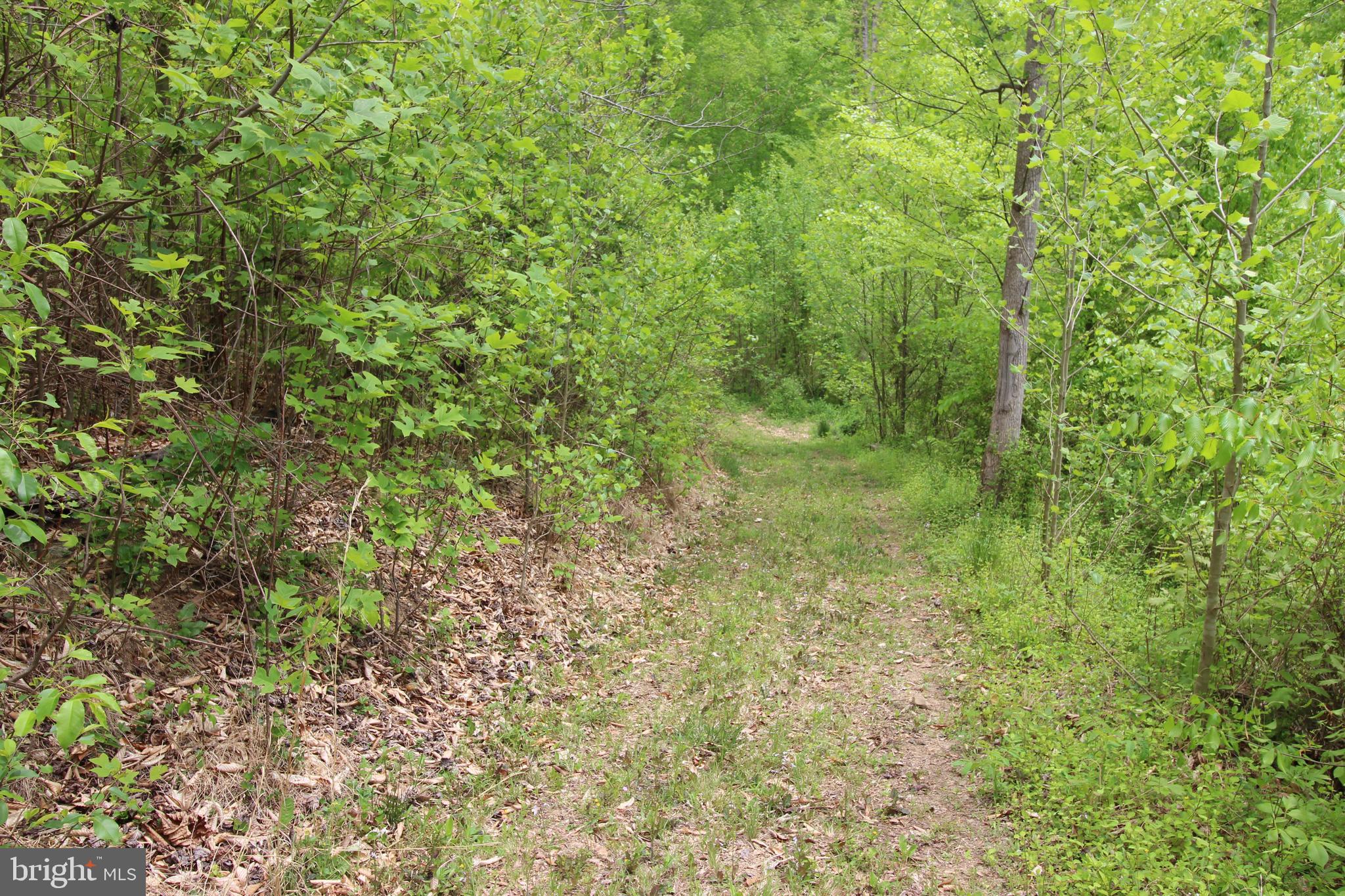 10528 Pineview Road Manassas, VA 20111 - Photo 51 of 61 Walking/hiking trails