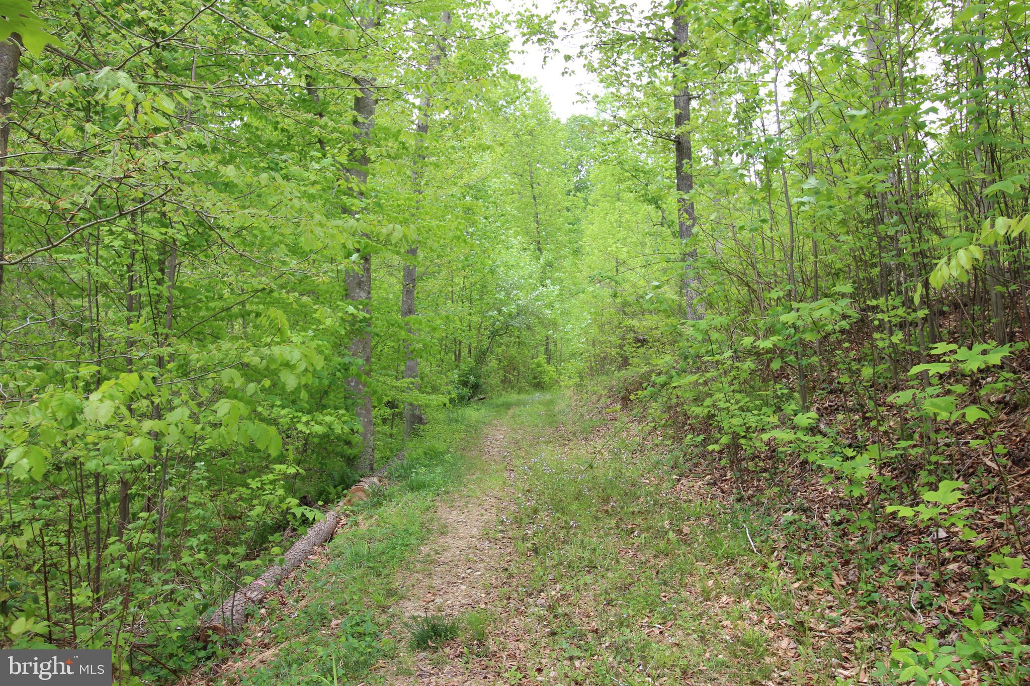 10528 Pineview Road Manassas, VA 20111 - Photo 52 of 61