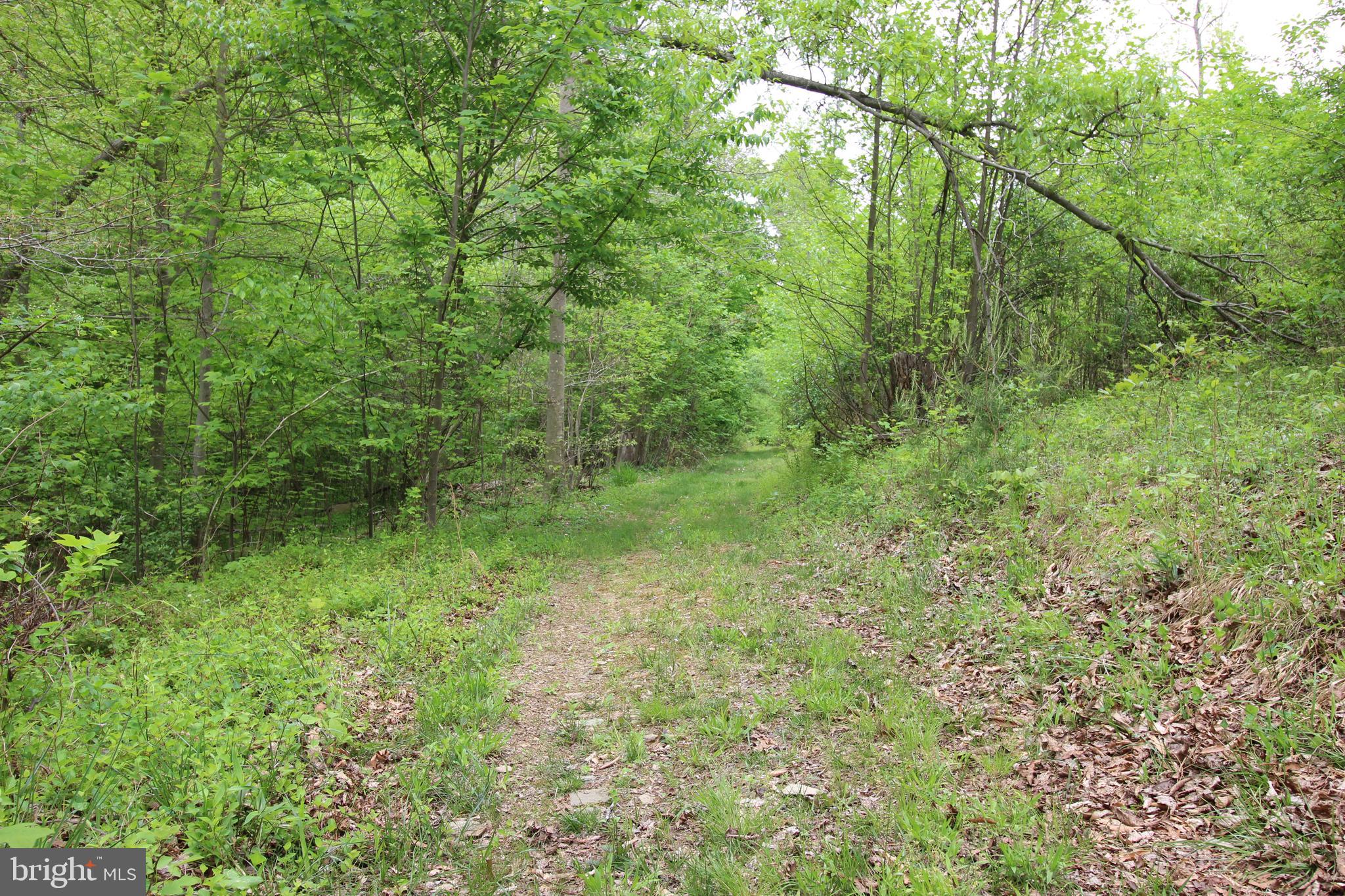 10528 Pineview Road Manassas, VA 20111 - Photo 53 of 61 Stream path