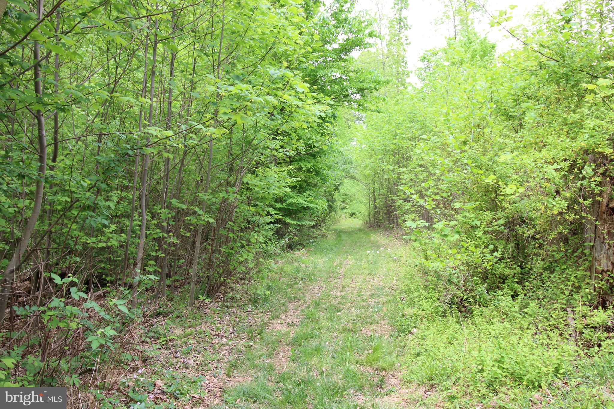 10528 Pineview Road Manassas, VA 20111 - Photo 54 of 61 Another hiking trail
