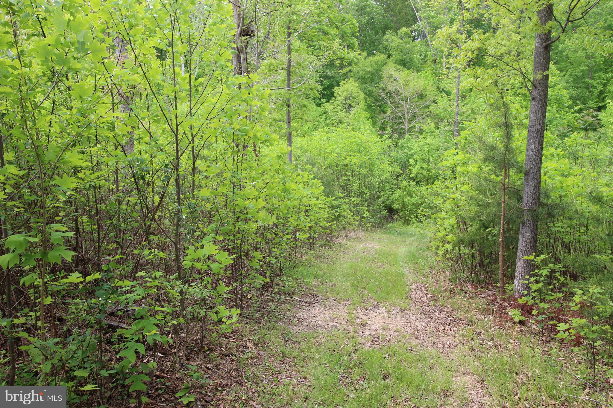 10528 Pineview Road Manassas, VA 20111 - Photo 55 of 61 Another walking path