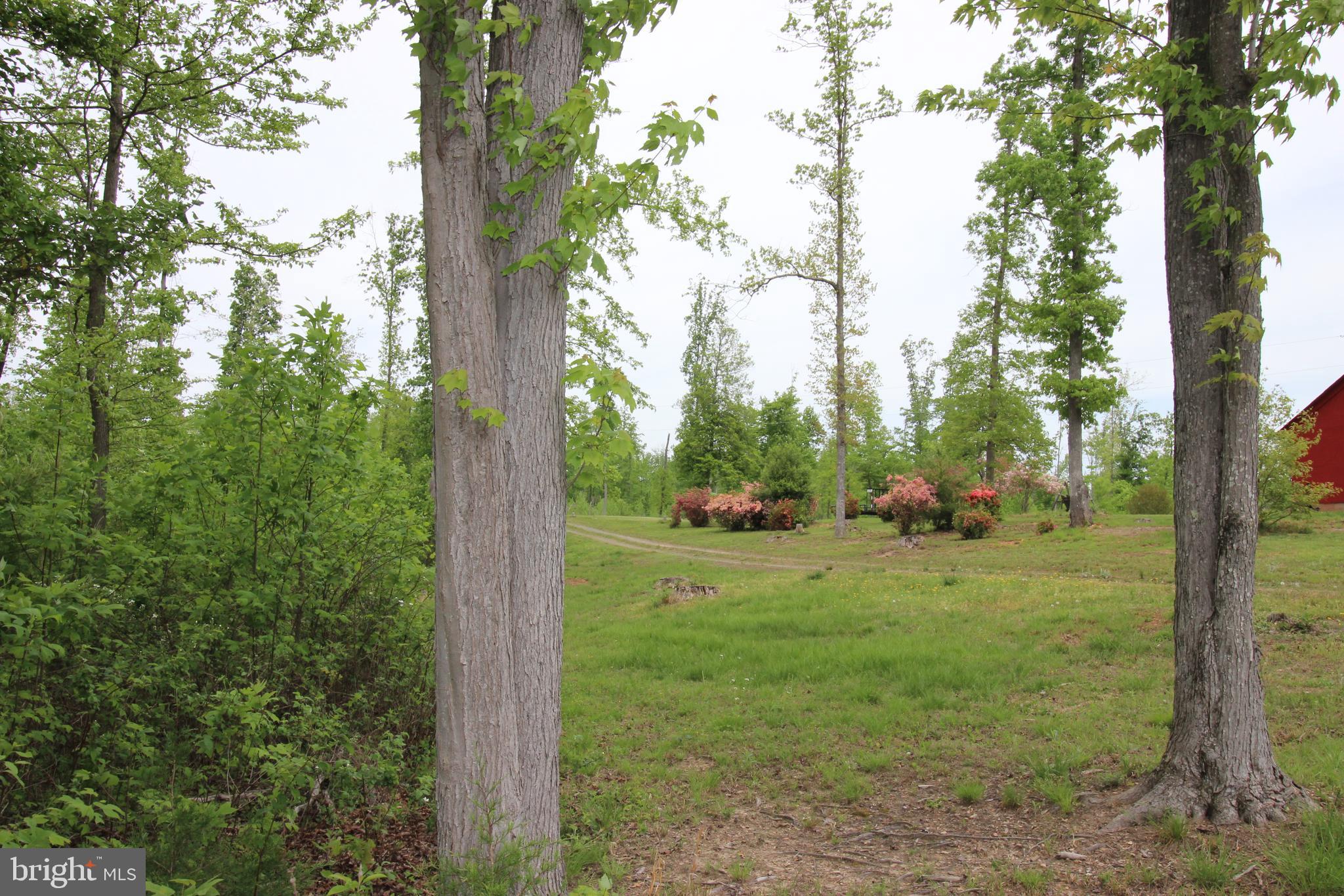 10528 Pineview Road Manassas, VA 20111 - Photo 56 of 61 One walking path entry